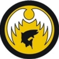 AFVideos Angel Fishing Videos