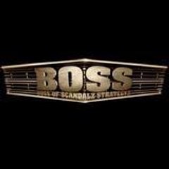 www_bosstrategyz_net
