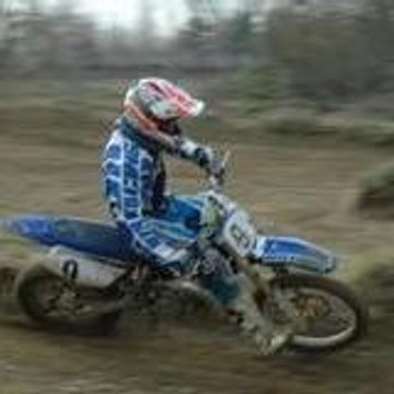 lesims