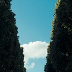 en-dilettante