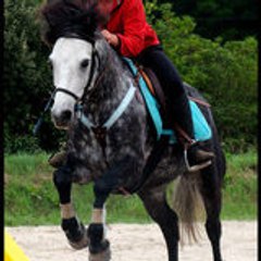 rosette2911