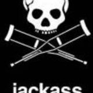 jackass2477