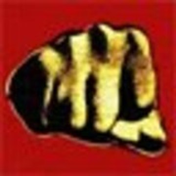 franck le jardinier get-s