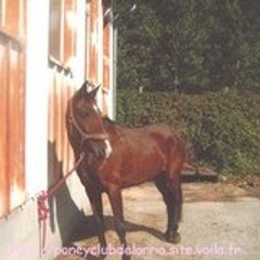 hémeline marie monique farget-tréca