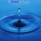 Association Othentik-Nice
