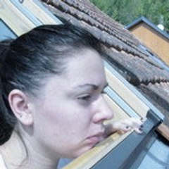 sloppylipstolips