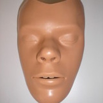 the brothers of destruction