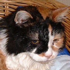 LESPILOU