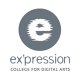 Expression College
