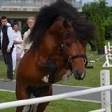 geometriquement_tien