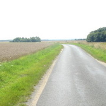 pathlyna