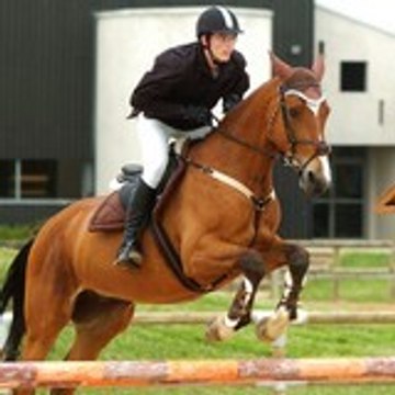 G-pessoa