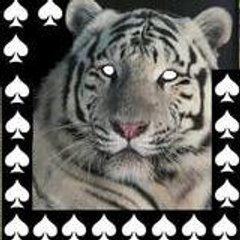 whitetigerkorn22