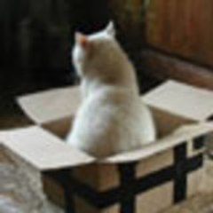 [IGS] Institut Gériatrique des Solex