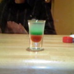 thegreenshoeclub