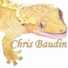 chris baudin