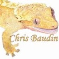 chris baudin