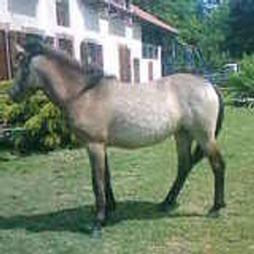 x--mariinou-x