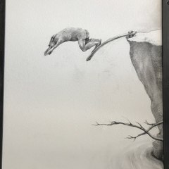 danphxariz