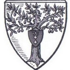 StaraOliwa.pl