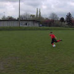 Loik Loik de vleeschauwer