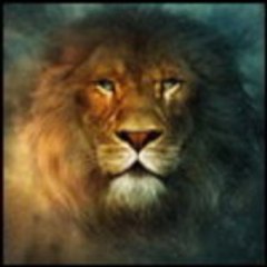 goldlion1995
