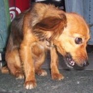 LIBRE et INDEPENDANT