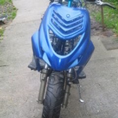 brubru93