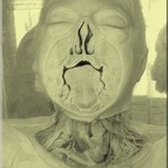pastisjedi2a
