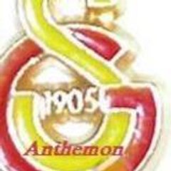 Anthemon77