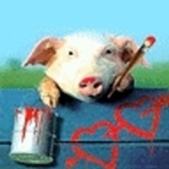 rose cochon