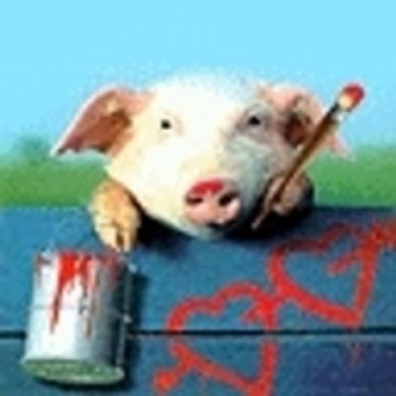 rose cochon