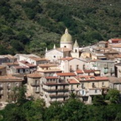 ibico2007