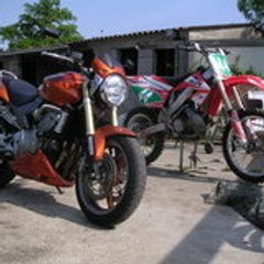 miche198