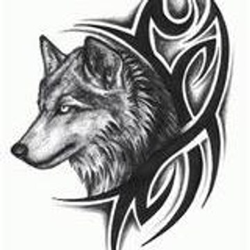 gotiniq_89