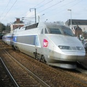 Manu Teo Train