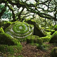 Les vraies informations