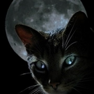 Julien Boyer