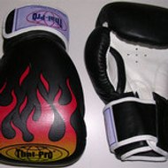 Fightsports