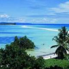 andry_ras