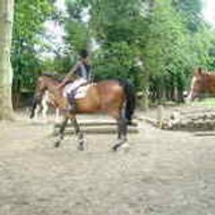 Olinell