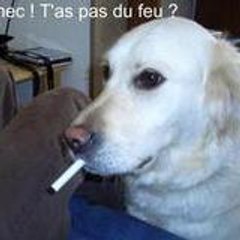 barnabe_59