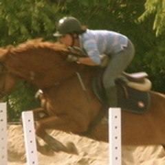 nicoton86
