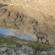 piloumontagne