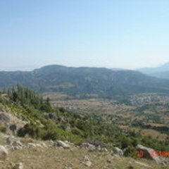 sedat ogut