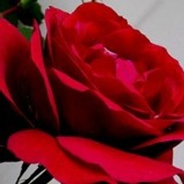 *********