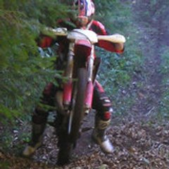 Ludovic ludovic