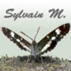 symontag