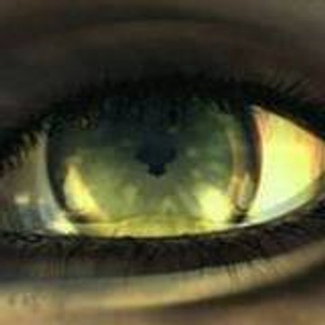Dream_Ways