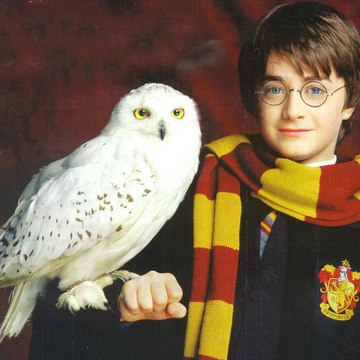 Univers Harry Potter